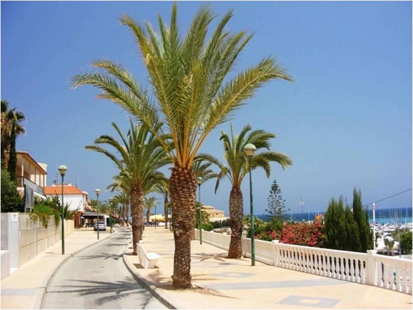 Torre De La Horadada - Modern And Comfortable 2 Bedroom Apartment Close To The Beach Torre de la Horadada Exterior photo
